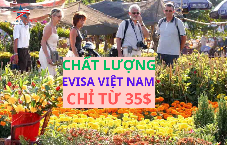 Dịch vụ tư vấn Evisa Việt Nam 90 ngày cho công dân Thụy Sĩ