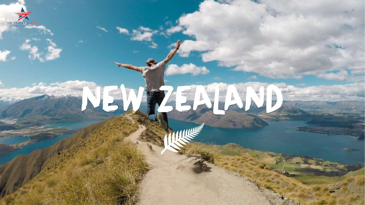 Bảo hiểm du lịch New Zealand chắc chắn đạt visa cao